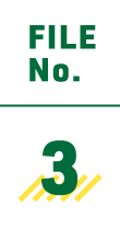 FILE No.3