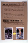 提案パネル