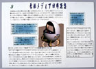 提案パネル