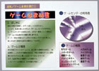 提案パネル