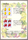 提案パネル