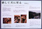提案パネル