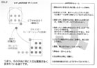 提案パネル