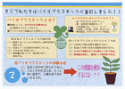 提案パネル