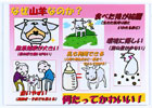 提案パネル