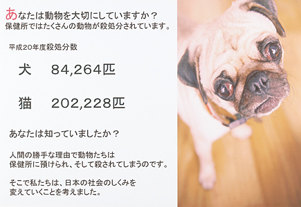 命を救う 動物税
