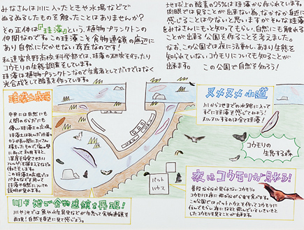 「珪藻」から生態系について学ぶ公園づくり。