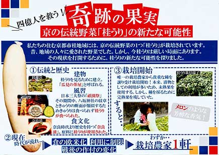 四億人を救う!奇跡の果実 京の伝統野菜「桂うり」の新たな可能性