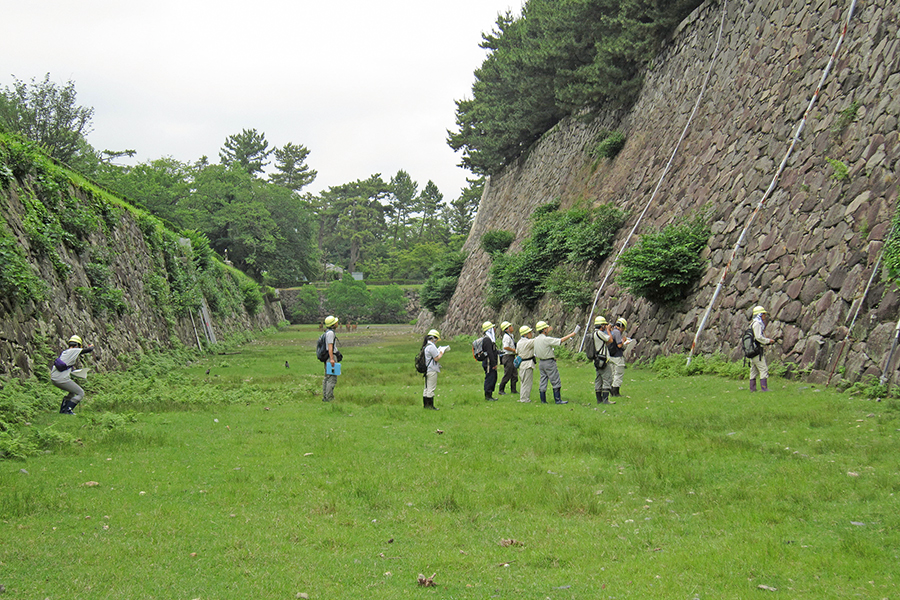 北野博司 #06 名古屋城跡の石垣調査の様子。奥には内堀に住むシカたちの姿