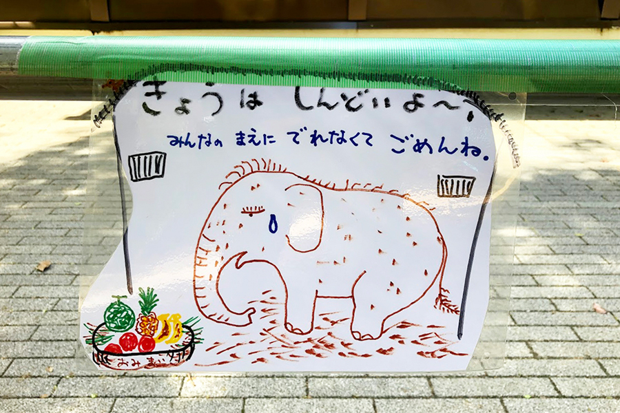 北野博司 #06 姫路市立動物園 ゾウの姫子 子供たちに病気をわびる貼り紙