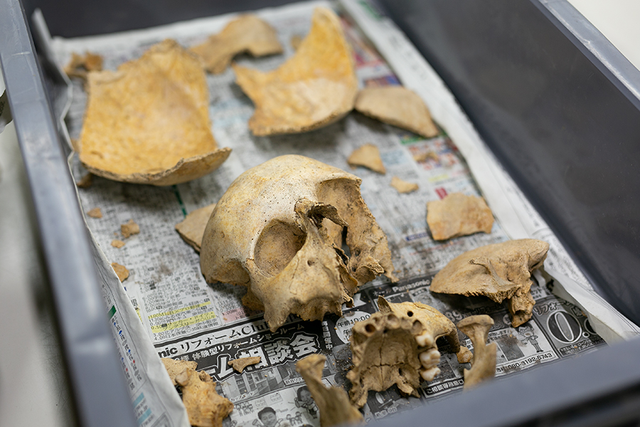 有珠モシリ遺跡から見つかった、再葬墓されたとされる人骨／世界遺産登録を目指す「北海道・北東北の縄文遺跡群