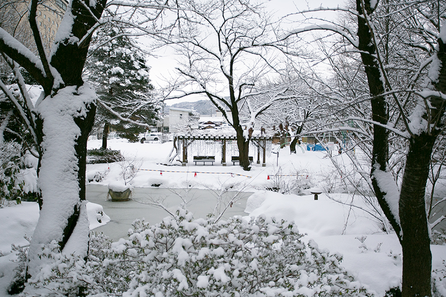 準学生寮 山形クラス 第二公園の家 振り返ると第二公園。公園が庭、と言っても言い過ぎではないロケーション