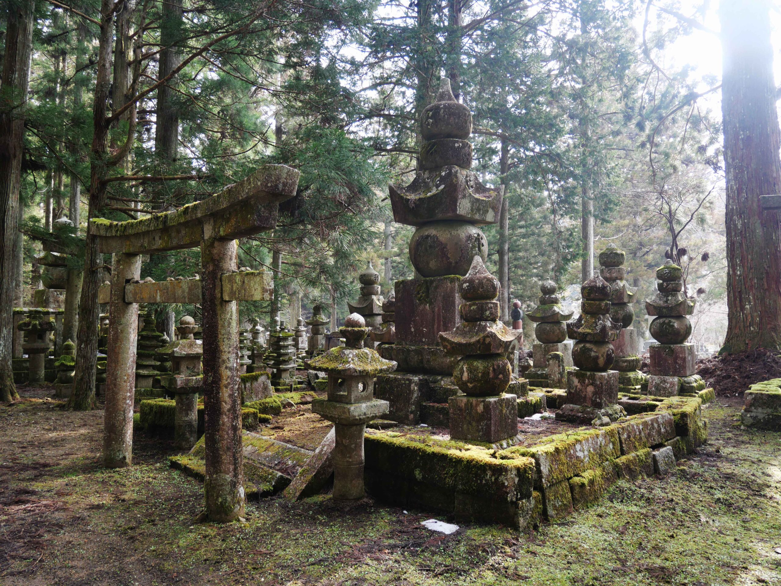 北野博司 #12 高野山奥之院