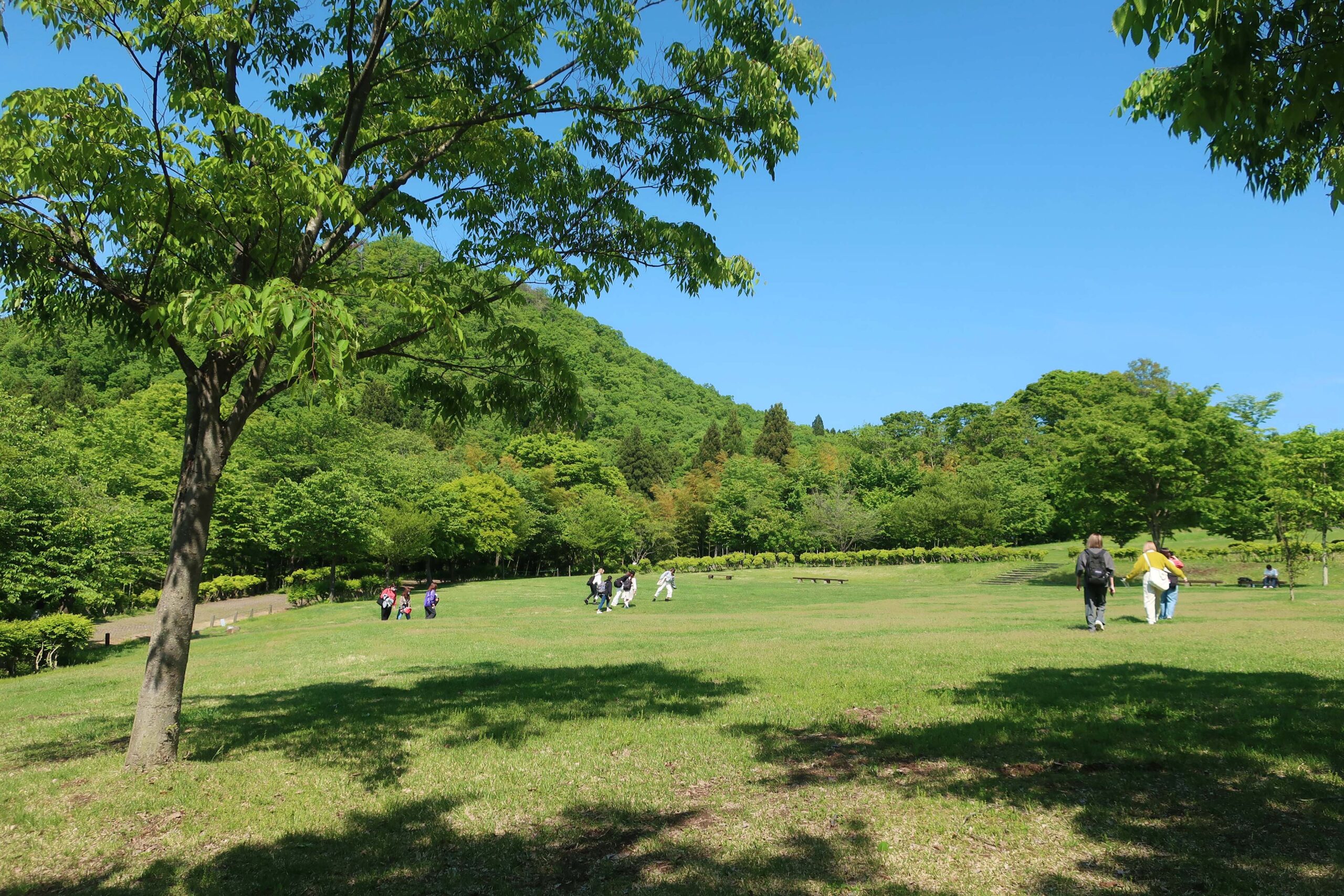 悠創の丘