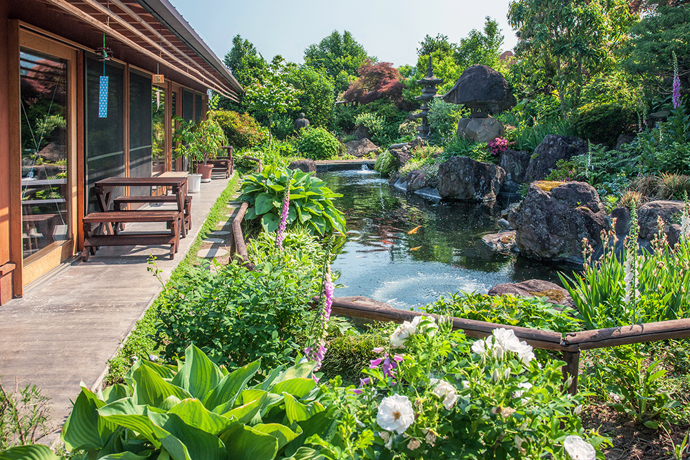 ミツバチガーデンカフェ、庭園喫茶錦オーナー 山川まどかさん 庭園喫茶錦は、大きな自然石をふんだんに使った錦鯉が泳ぐ池と和風庭園が特徴