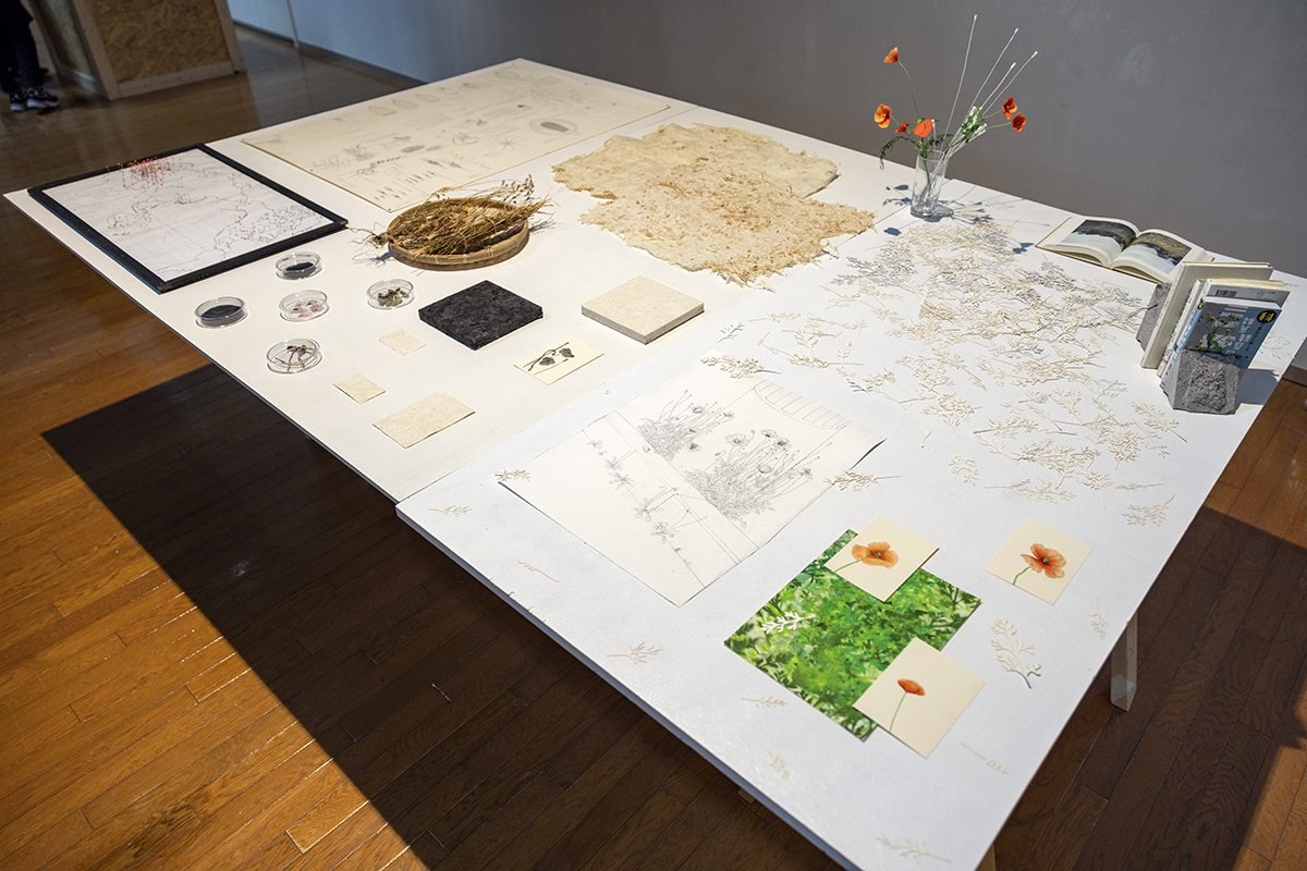 「DOUBLE ANNUAL 2026」プレビュー展作品