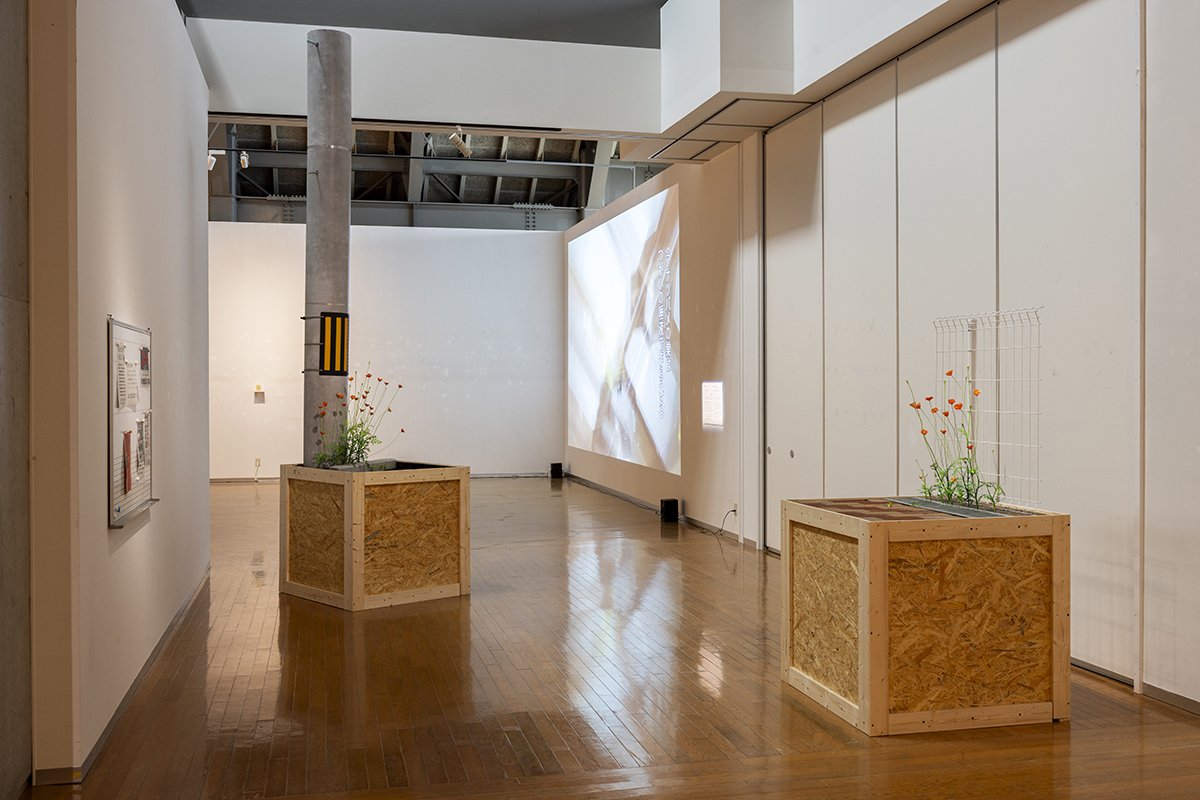 「DOUBLE ANNUAL 2026」プレビュー展作品