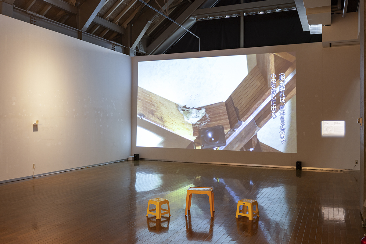 「DOUBLE ANNUAL 2026」プレビュー展作品