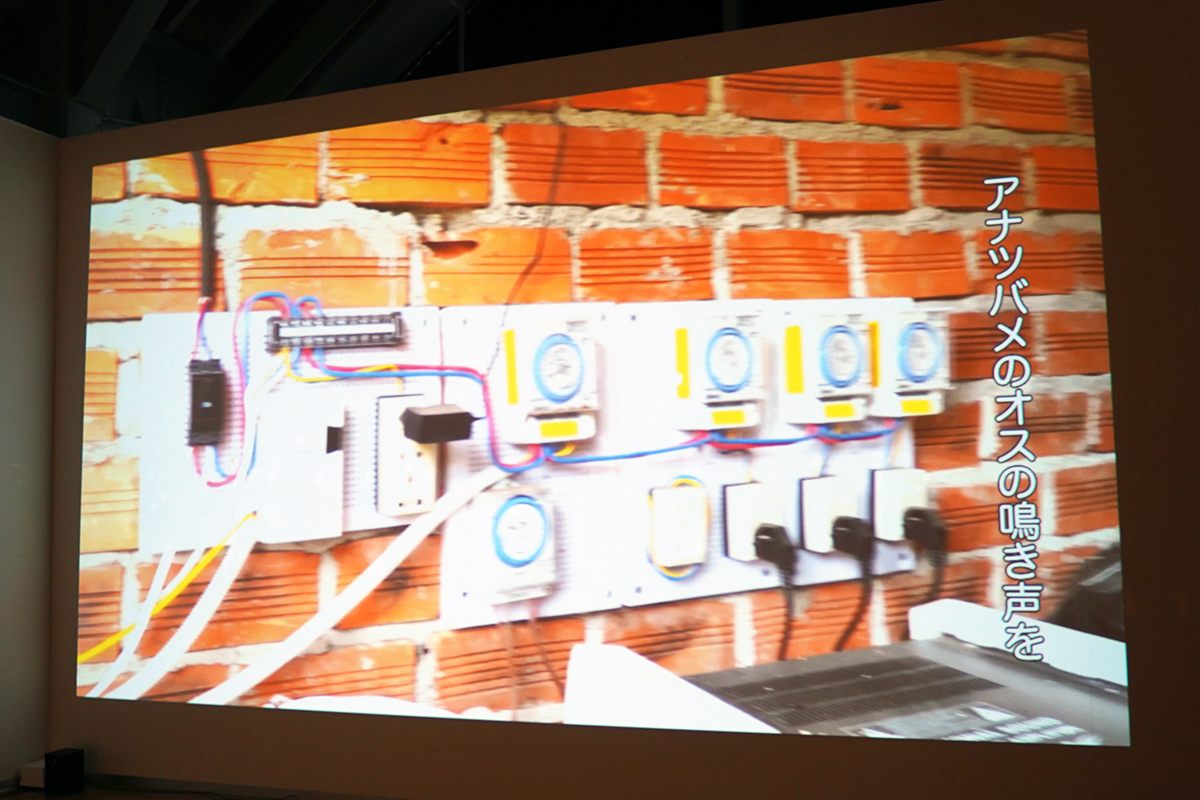 「DOUBLE ANNUAL 2026」プレビュー展作品