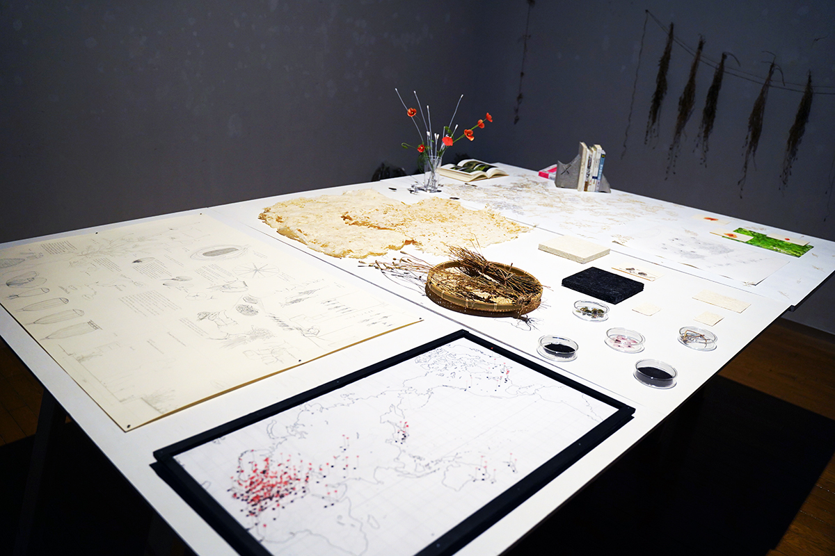 「DOUBLE ANNUAL 2026」プレビュー展作品