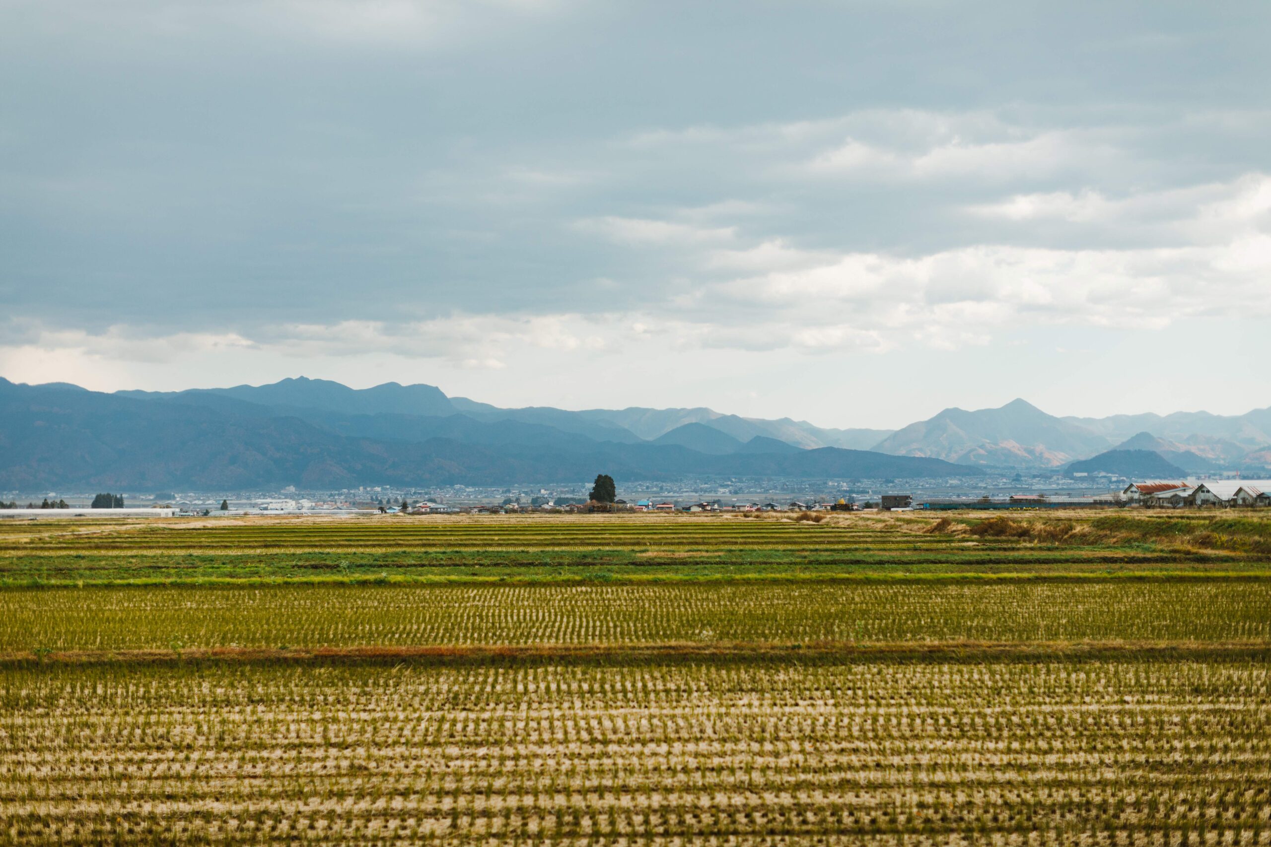 アニメ作家、監督　土海明日香さん