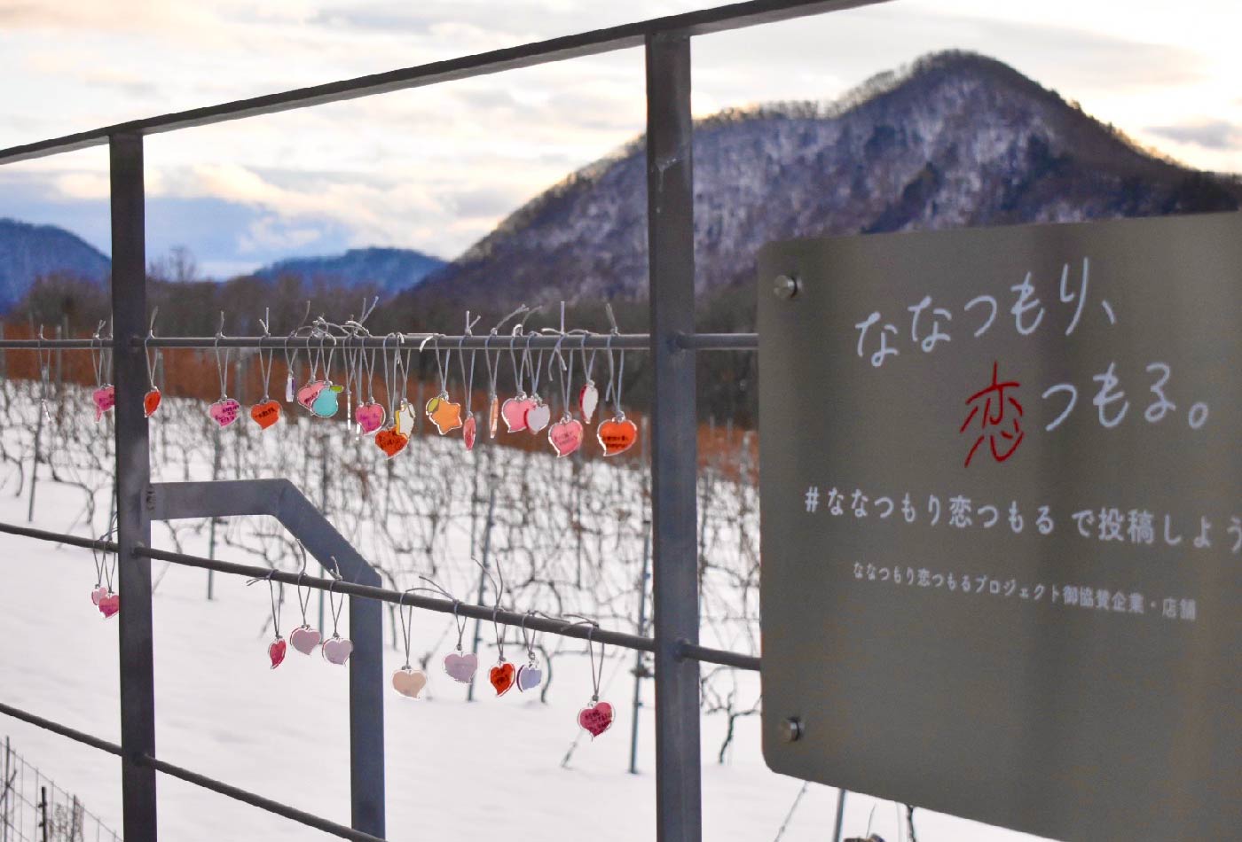 山田さんの卒業制作