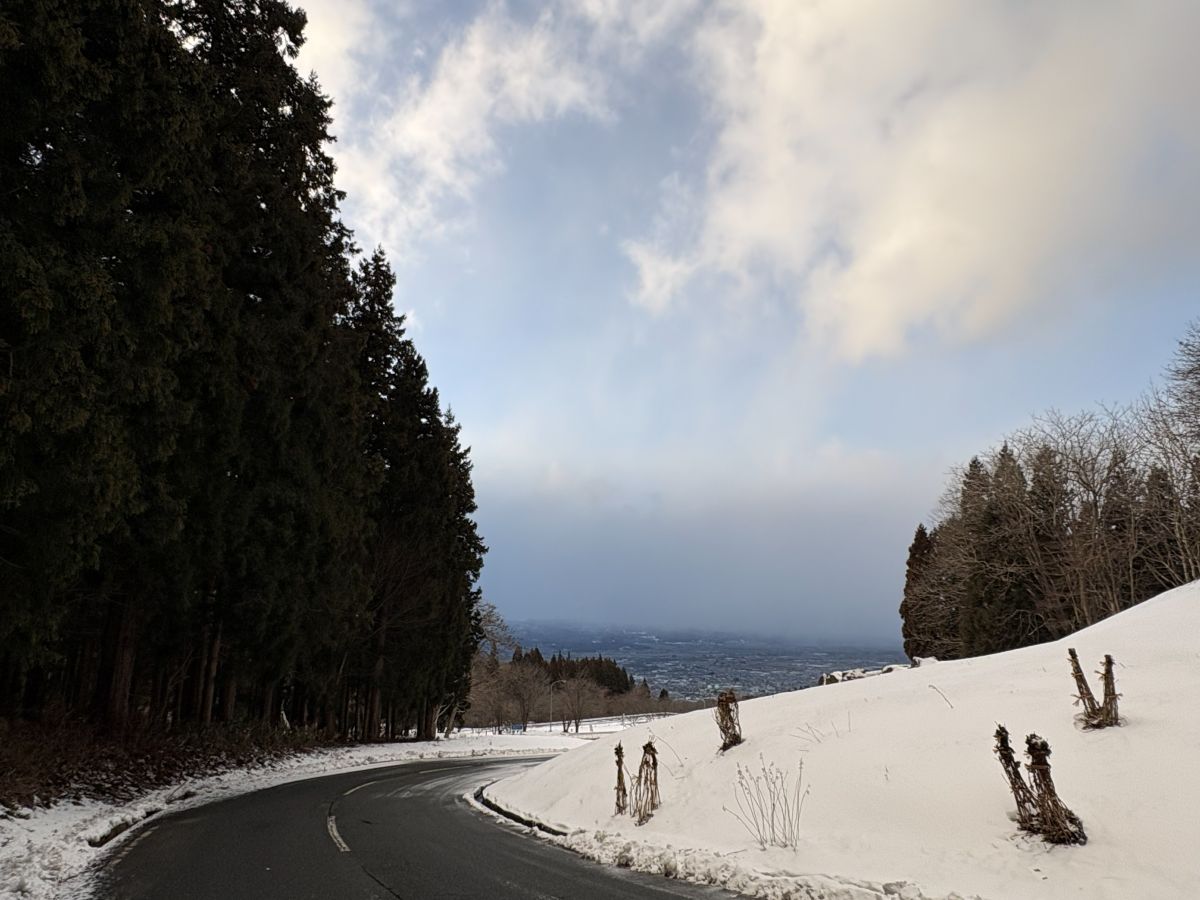 冬のジョギングコース