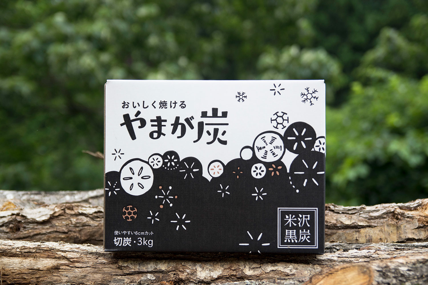 産学連携とグラフィックデザイン学科