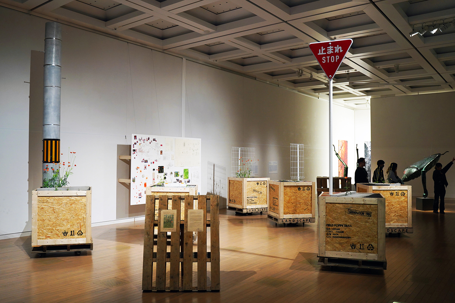 「DOUBLE ANNUAL 2026」での大学院生の作品