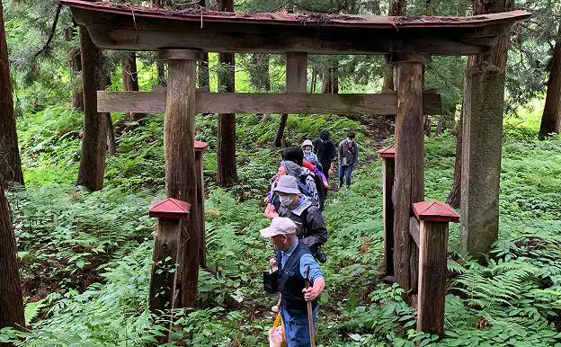 「フィールドワーク演習」のサムネイル