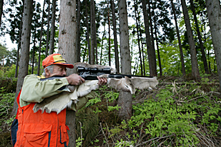 uThe rifle of the deervbÐє Saho Furukawab2008Nb̖єAAbBeFCfA][