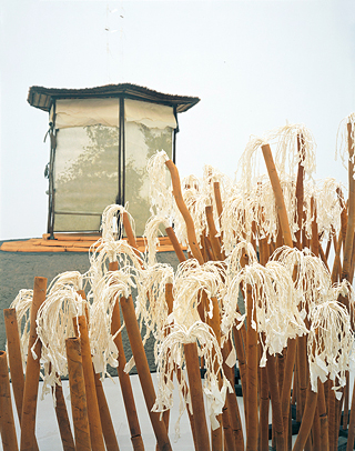 『あるてみすのいちじく』1994−2006年/豊田市美術館（Photo by SHIGEO ANZAI）